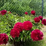 Flauta Rodzinne 아파트 미엘렌코