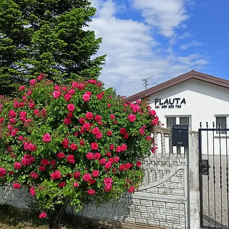 Flauta Rodzinne