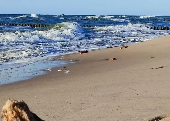 Flauta Rodzinne Mielenko